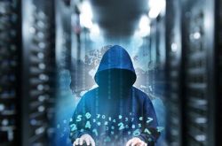 （使用手册）大理白族自治州中药_哔哩哔哩-2